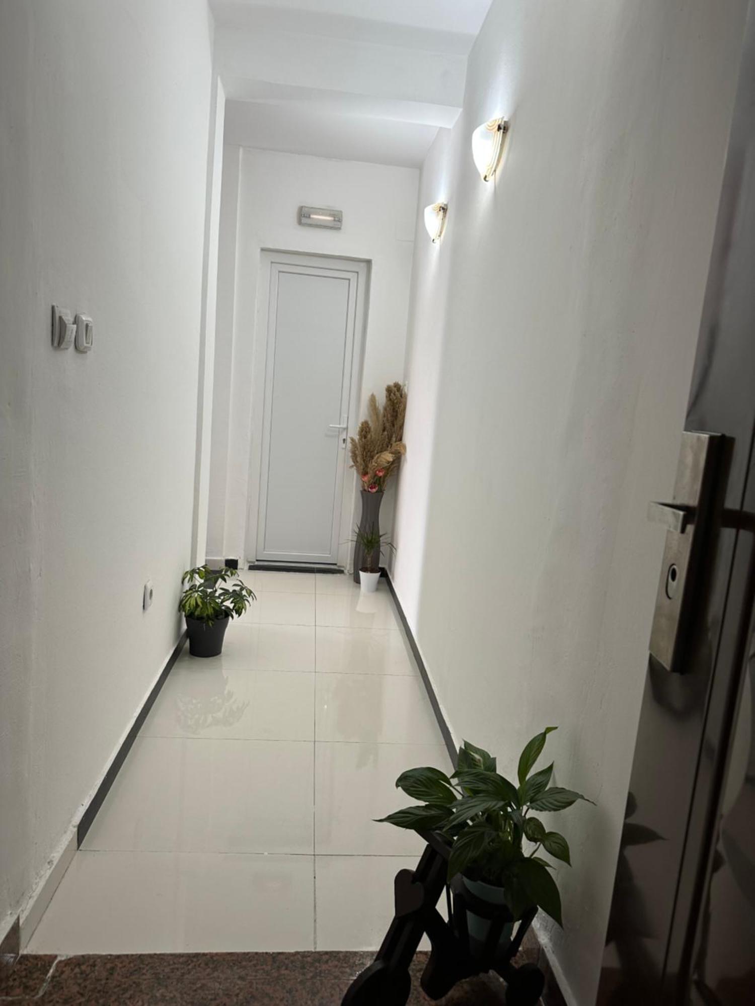 Apartment Djordje